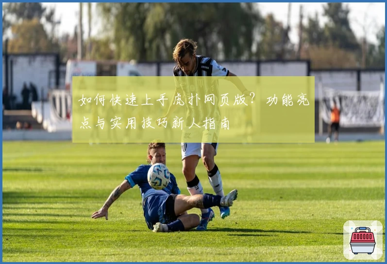 如何快速上手虎扑网页版？功能亮点与实用技巧新人指南
