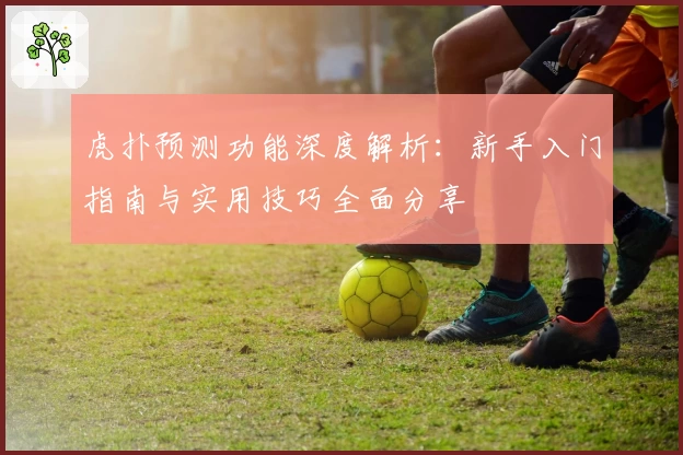 虎扑预测功能深度解析：新手入门指南与实用技巧全面分享