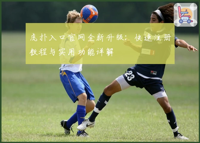 虎扑入口官网全新升级:快速注册教程与实用功能详解